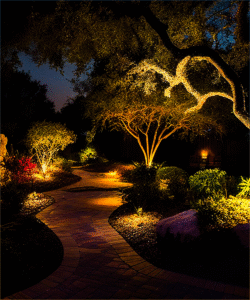 Landscape Lighting of tree, bushes and a brick road.