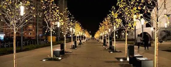 commercial-outdoor-lighting-featuring-in-ground-well-lights-illuminating-a-row-of-trees-along-a-paved-public-walkway-at-night