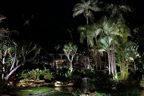 uplighted-palm-trees-and-tropical-plants-in-residential-garden