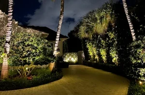 uplighted-palm-trees-and-illuminated-hedges-lining-driveway